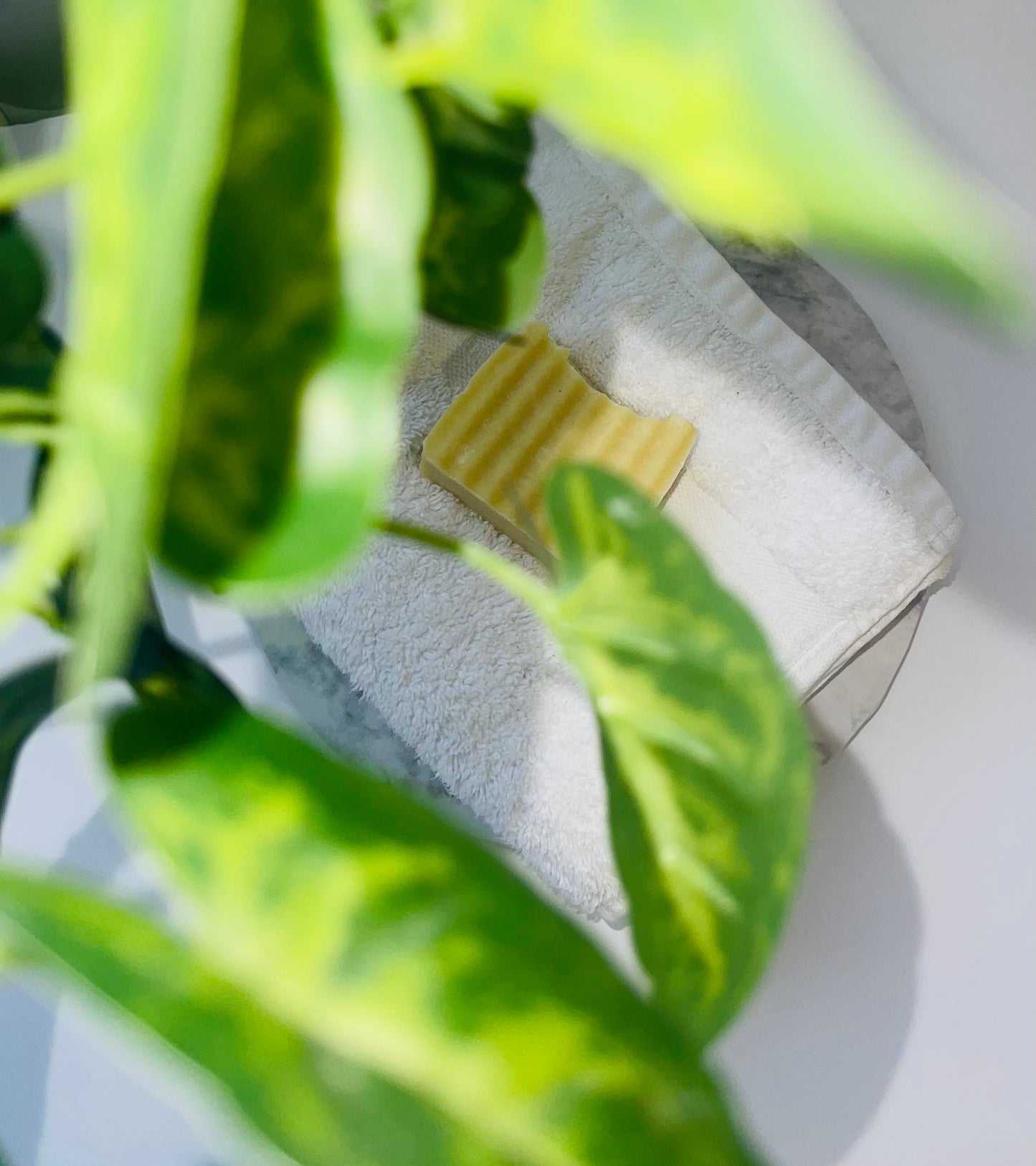 Lemon Verbena with Lemon Zest & Dried Chamomile Bar Soap (5oz)