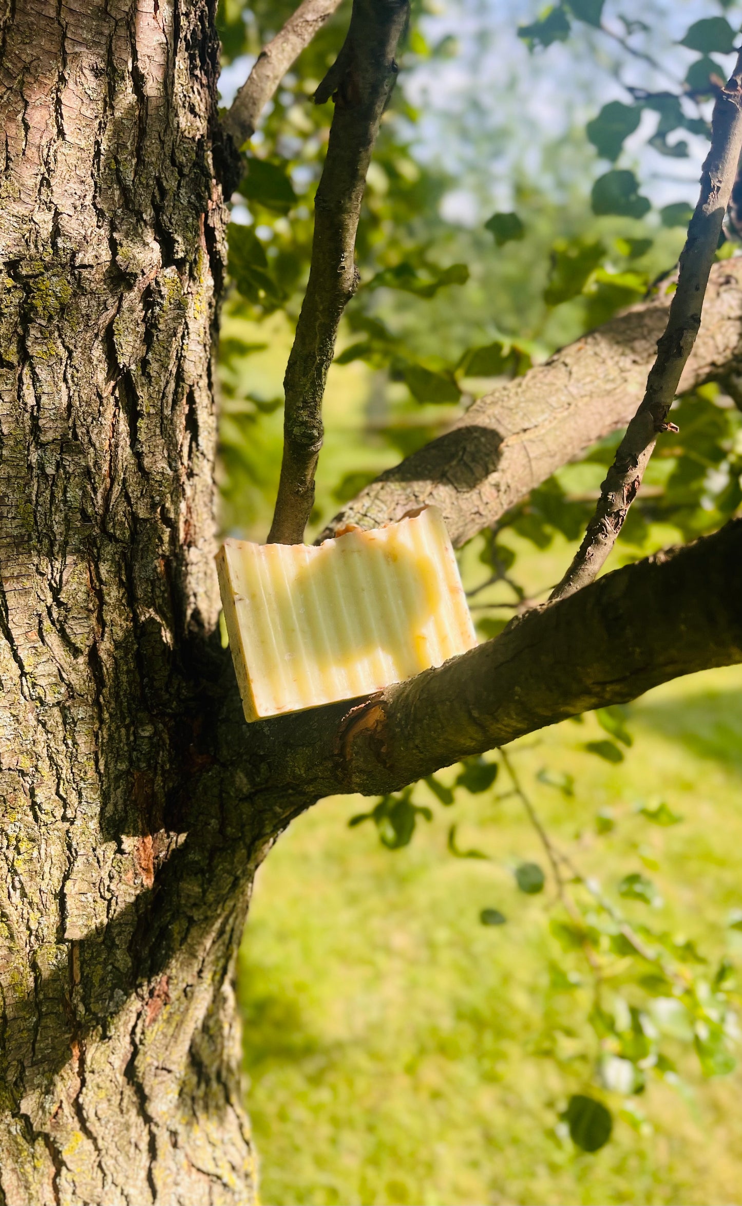 Vanilla Oak Bar Soap (5oz)